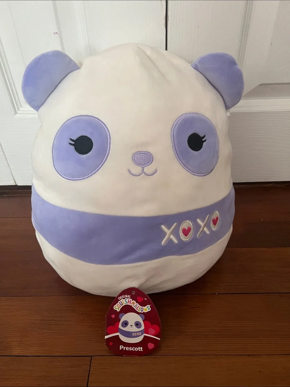 Two Valentine’s Day Squishmallows Prescott and Ter